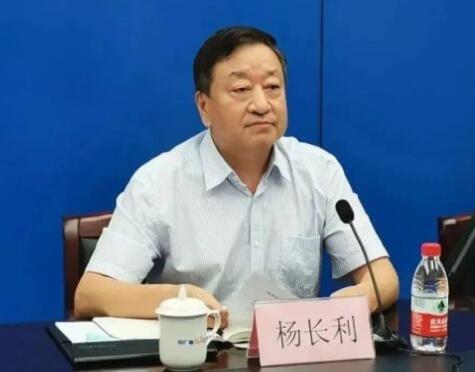 任職總經(jīng)理半年后，楊長利任中廣核董事長