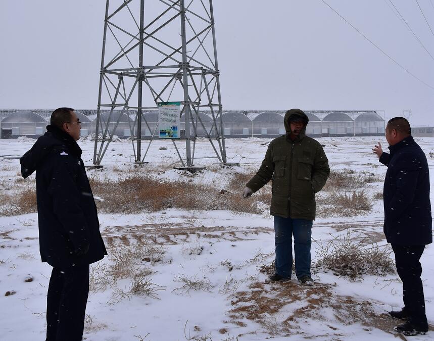 二連浩特供電公司：開展客戶側(cè)安全檢查，確?？诎犊蛻粝楹兔髁吝^春節(jié)