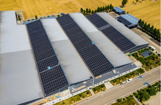 分布式光伏助力企業(yè)低碳轉型！麥田里的陽光工廠，年均生產108萬度綠電！