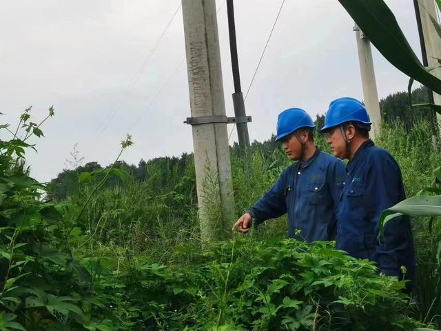 國網(wǎng)長春供電公司積極應(yīng)對(duì)極端天氣，確保線路設(shè)備穩(wěn)定運(yùn)行
