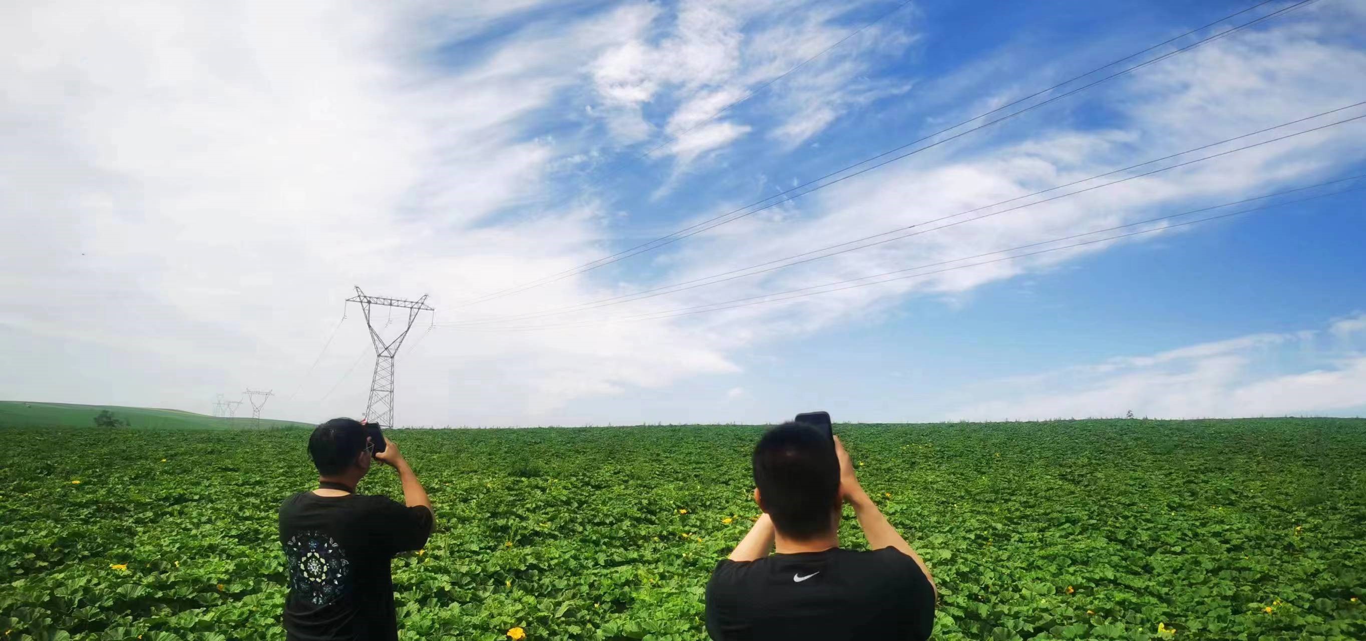 四子王輸變電管理處：防外力破壞，助安全運行