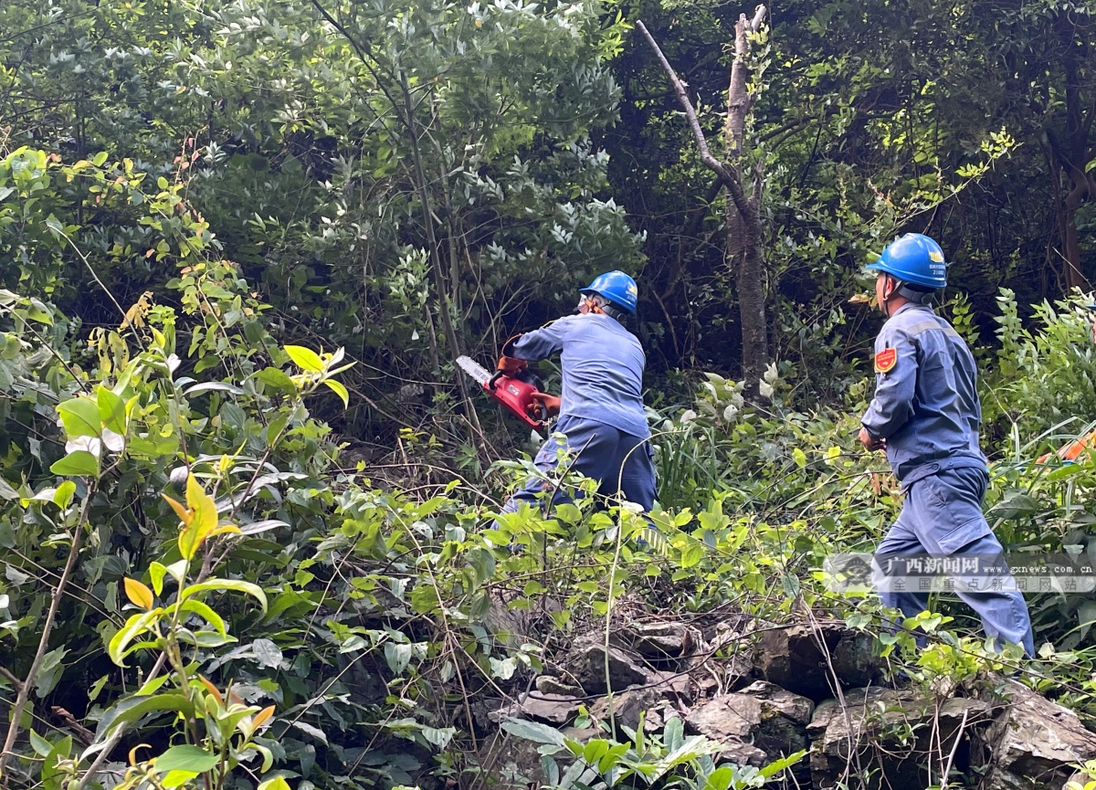 廣西興安供電局全力打造電力線(xiàn)路“安全通道”