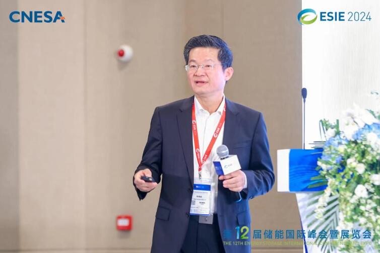 林澤波：儲能企業(yè)出海不是價(jià)格競爭，而是以定制優(yōu)質(zhì)產(chǎn)品和服務(wù)實(shí)現(xiàn)可持續(xù)發(fā)展