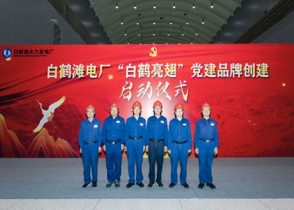 三峽集團一個集體、三名個人榮獲中央企業(yè)“兩優(yōu)一先”表彰
